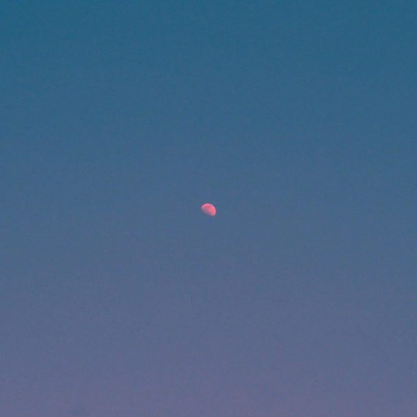 Tasha – "But There's Still The Moon"