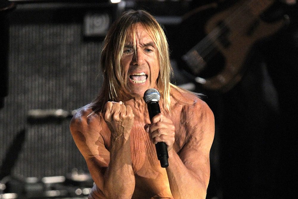 Iggy Pop Fights For 'Big Cat Public Safety Act' and Urges Florida Senators to Support