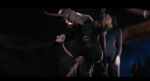 New Video: Boosie Badazz “Goat Talk 2 Intro” | Rap Radar