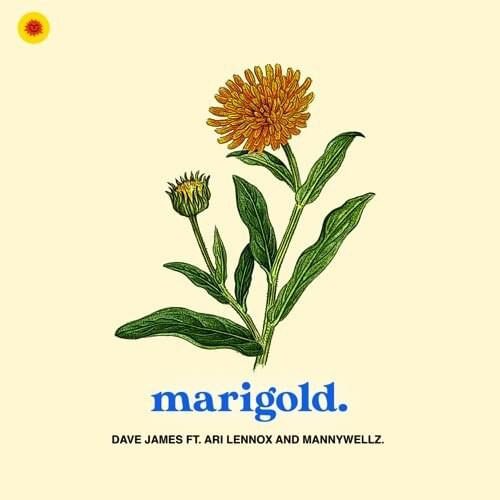 New Music: Dave James Ft. Ari Lennox, Mannywellz “Marigold”