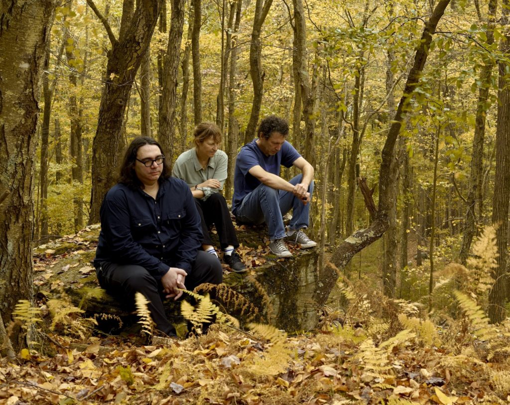 Yo La Tengo Covers the Byrds' 'Wasn’t Born To Follow'