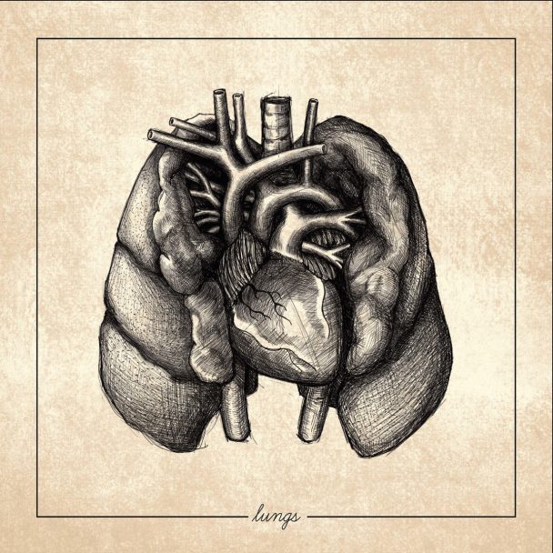 Stream Regrowth’s Great Melodic Hardcore Debut Lungs