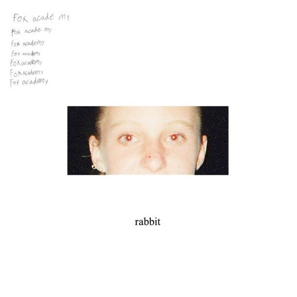Stream Portland Bedroom-Pop Duo Fox Academy's Deeply Moody New Album 'rabbit'