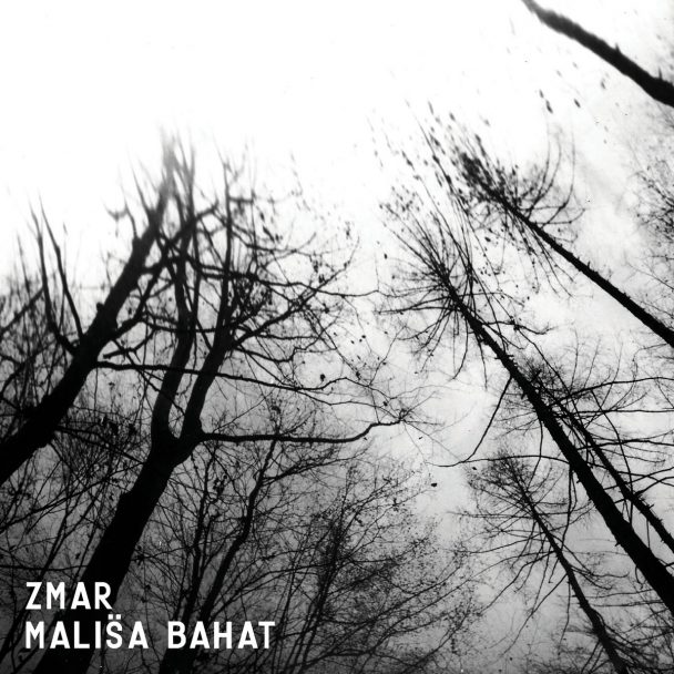 European Screamo Bands Mališa Bahat & Zmar Release Ferocious New Split: Stream