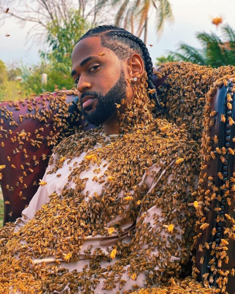 Here’s Big Sean Covered In 65,000 Bees