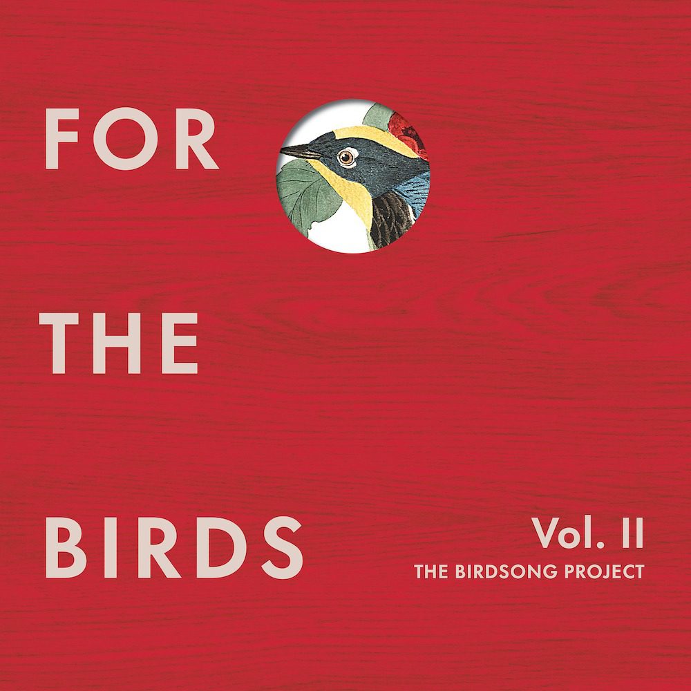Hear New Birdsong-Inspired Songs From Elvis Costello, Flaming Lips, Jeff Tweedy, & More On For The Birds Vol. II