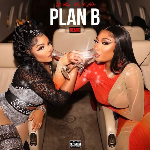 Megan Thee Stallion Ft. Lil Kim “Plan B (Remix)”