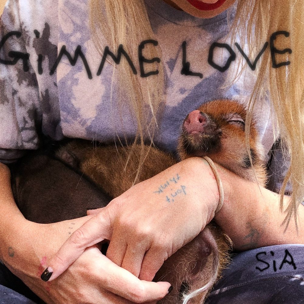 Sia – “Gimme Love”