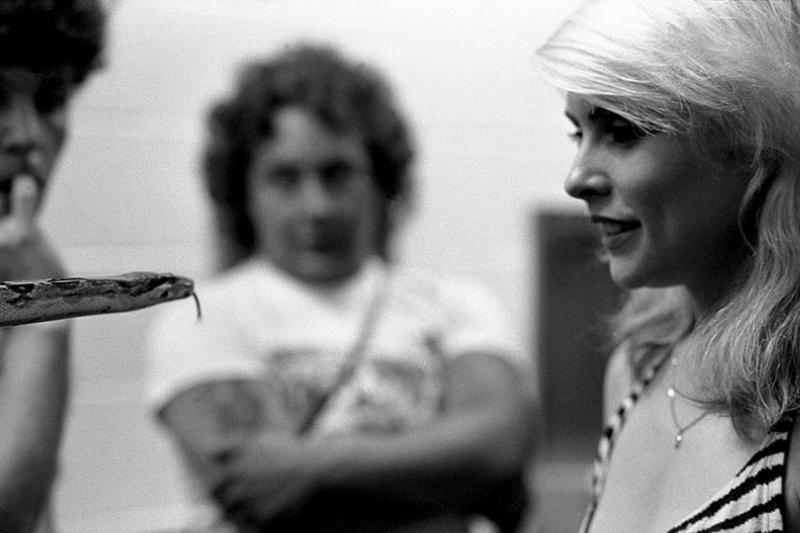 Debbie Harris smiles while looking into the eyes of a slithering snake.