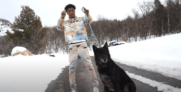 Video: NBA YoungBoy “Wolf Cry”