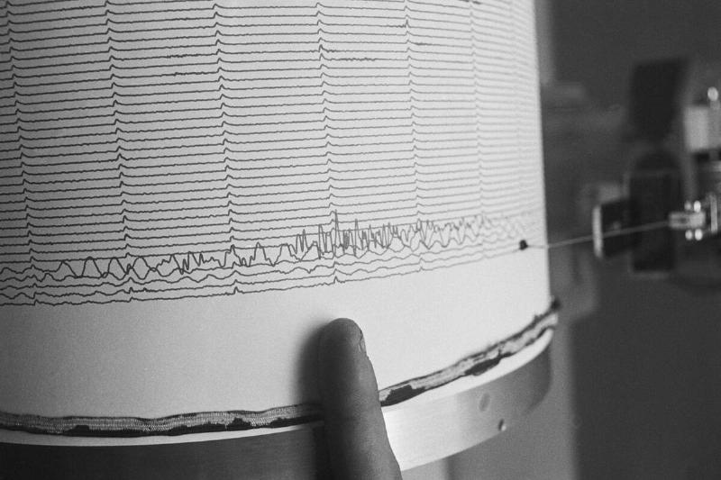 Finger Pointing to Earthquake Reading on Seismograph